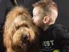 Fur real: Winner of SA’s Cutest Dog for 2023 revealed