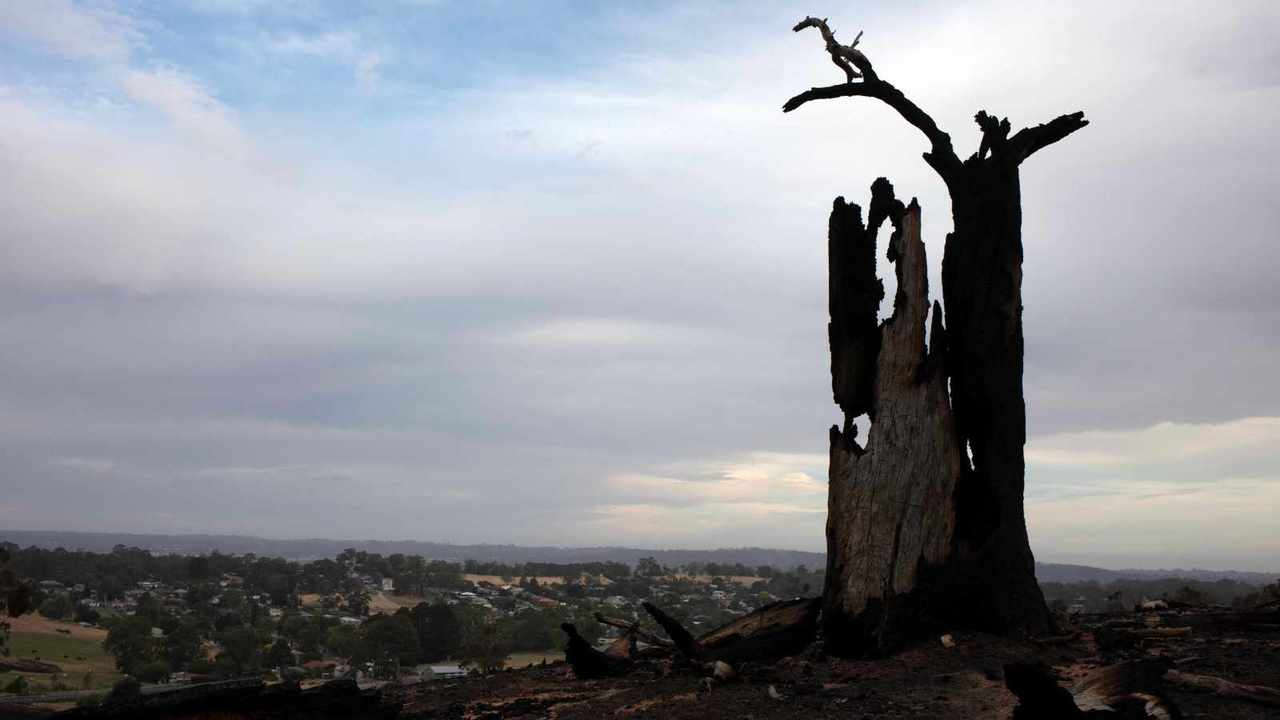 South Australian firefighters saved 'so many homes' from being lost