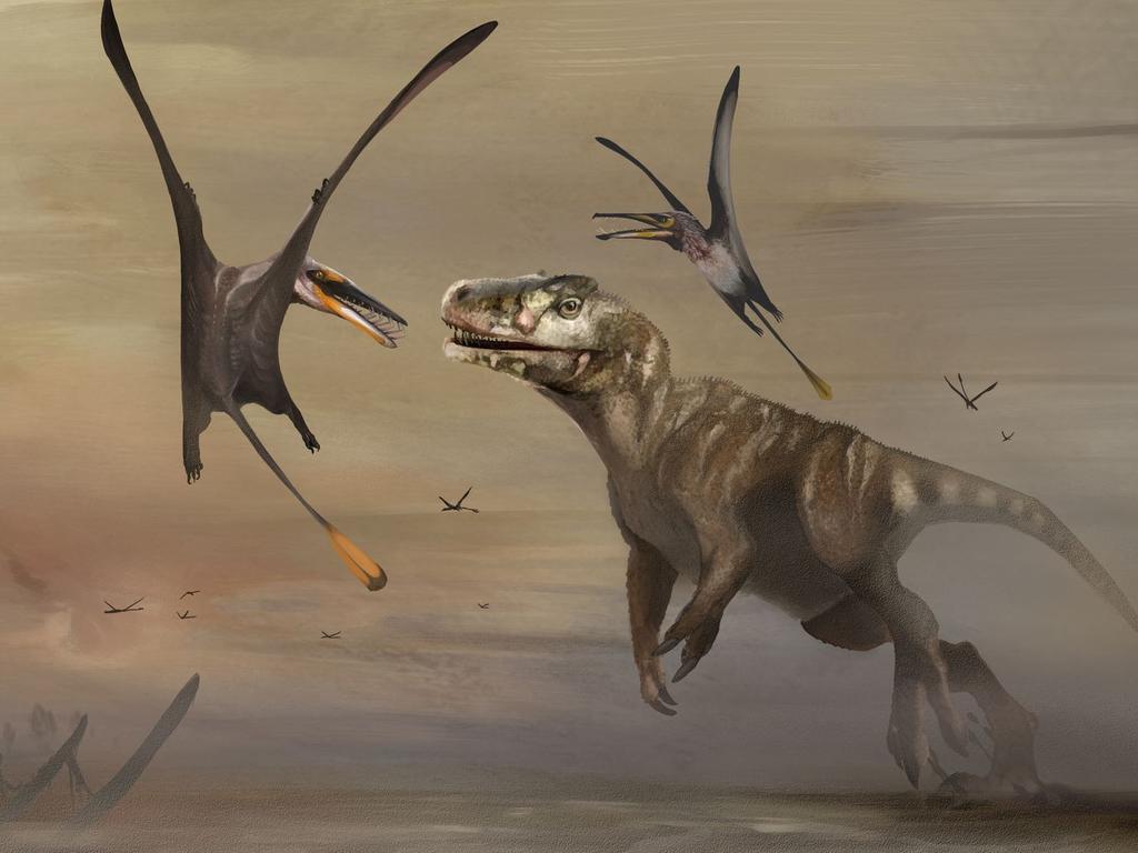 A handout illustration shows the newly identified Jurassic Period flying reptile, or pterosaur, called 'Dearc sgiathanach', whose fossil was found on a rocky beach at Scotland's Isle of Skye, flying alongside a large meat-eating dinosaur. Dearc represents the largest-known flying creature that had lived on Earth up to that point in time, roughly 170 million years ago. Picture: Natalia Jagielska