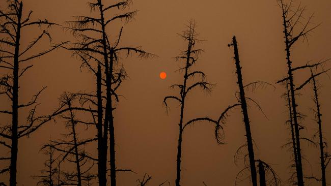 Forest fires were plaguing Siberia last month. Picture: Dimitar Dilkoff