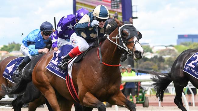 Caulfield Cup equal favourite Soulcombe is 17th in the current order of entry. Picture: Pat Scala/Racing Photos via Getty Images