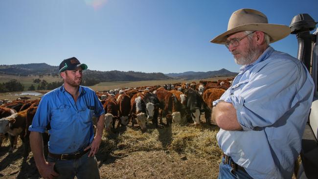 Richard Bell, 67, with his son Archie Bell, 29, on their cattle property east of Scone in the Hunter Valley. Picture: Liam Driver