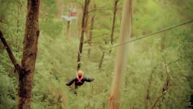 Ziplining in the Otway rainforest