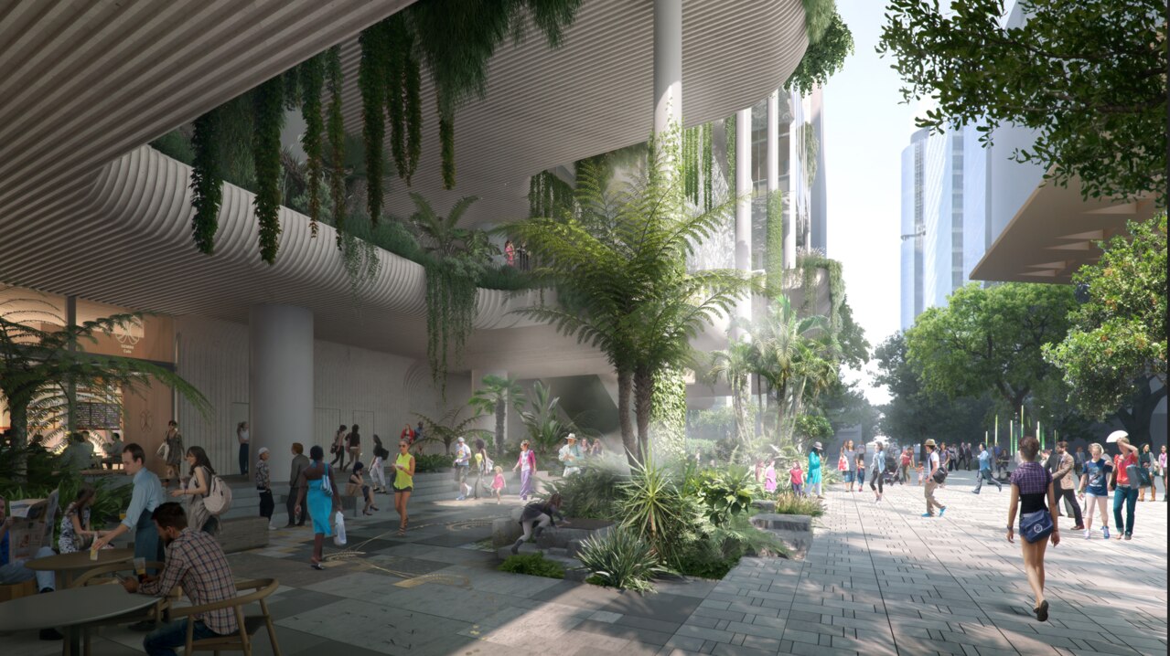 The Albert St project will feature lots of sub-tropical plants.