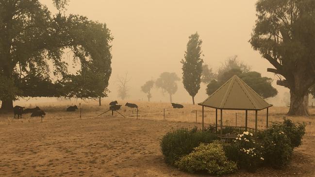 Ms Hallard’s Batlow property late last week, as fires approached the town. The property has now been devastated by an inferno.