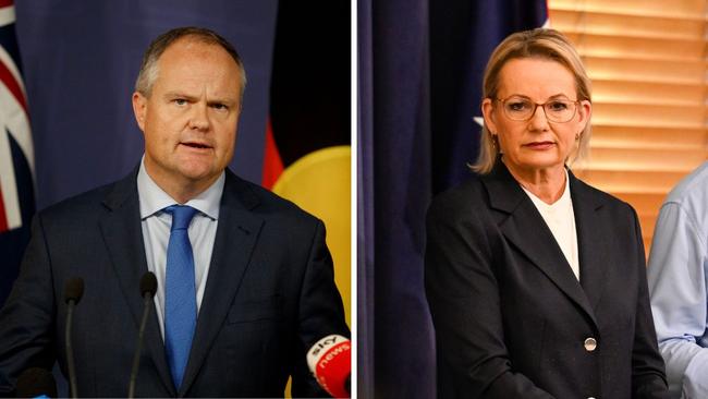 Deputy opposition leader and Treasury spokesman Ted O'Brien and Opposition Leader Sussan Ley.