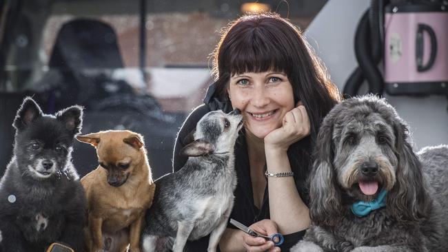 Mobile dog groomer Penella Etyngold with Sunny, Cookie, Jessie and Daisy. Picture: Jason Edwards