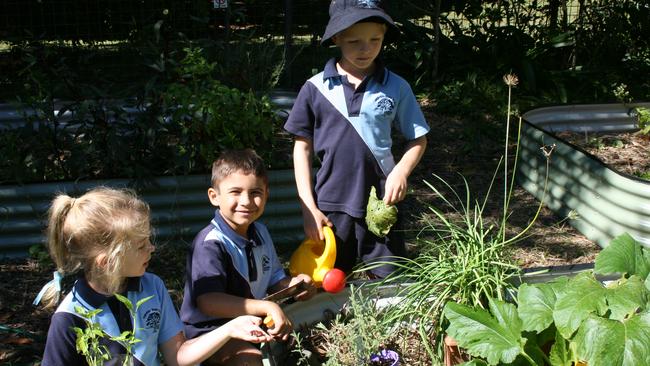 Ingleside State School students Lille Inglis, Connor Stasuik and Charlie Cameron working in the garden