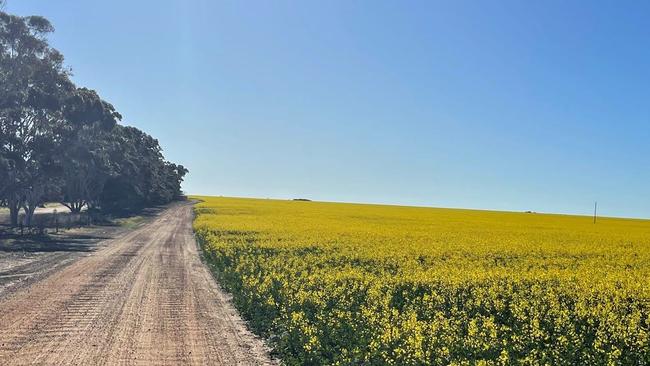 The 2500ha Kembah at Jacup, in southern Western Australia has been sold in a deal with two separate local buyers.