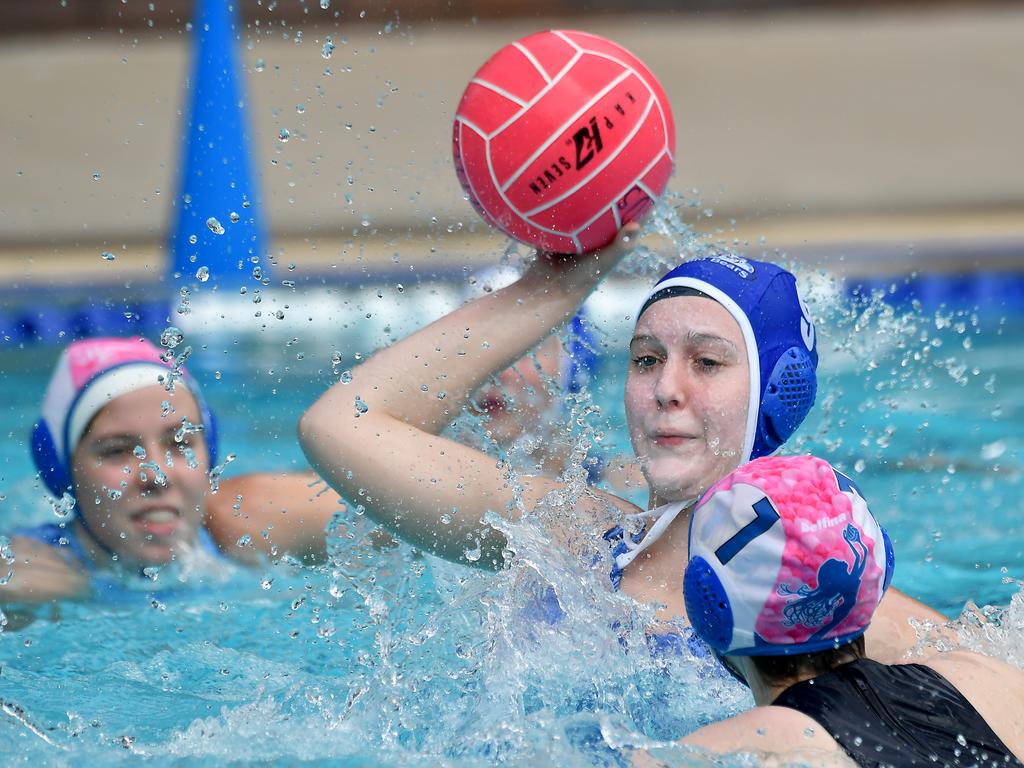 In pictures - 100 images from day 1 of the BWPI Brisbane Water Polo ...