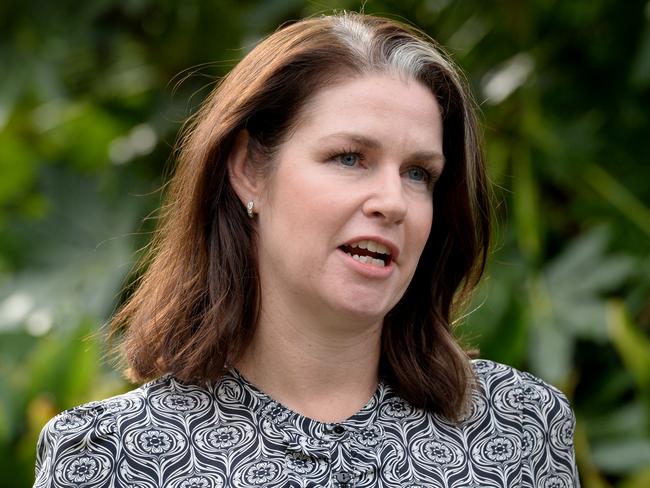 MELBOURNE, AUSTRALIA - NewsWire Photos JUNE 23, 2022: Emma Kealy, Victorian Shadow Minister for Mental Health, speaks to the media at Parliament House in Melbourne. Picture: NCA NewsWire / Andrew Henshaw