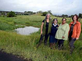 TEAM PROJECT: From left, Lismore City Council Vanessa Ekins, Ros Sten and Jenny Smith from Banyam-Baigham Landcare and Lismore City Council environmental strategies officer Vanessa Tallon are working hard towards restoring Slaters Creek in North Lismore. Picture: Cathy Adams