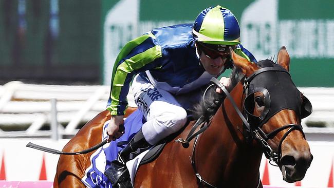 Newmarket Handicap analysis with Michael Manley; Flemington | Herald Sun