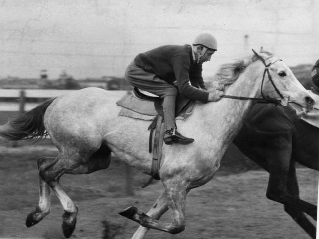 Racehorse Baghdad Note, shown skimming over a mile in 1 minute, 50 seconds at Flemington Racecourse.