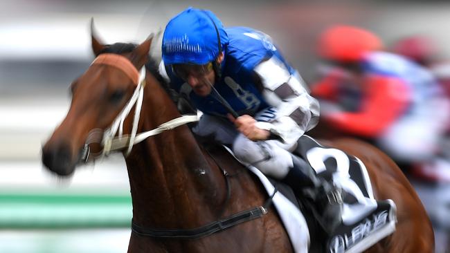 Sixties Groove will be set for the Caulfield Cup in the spring. Picture AAP