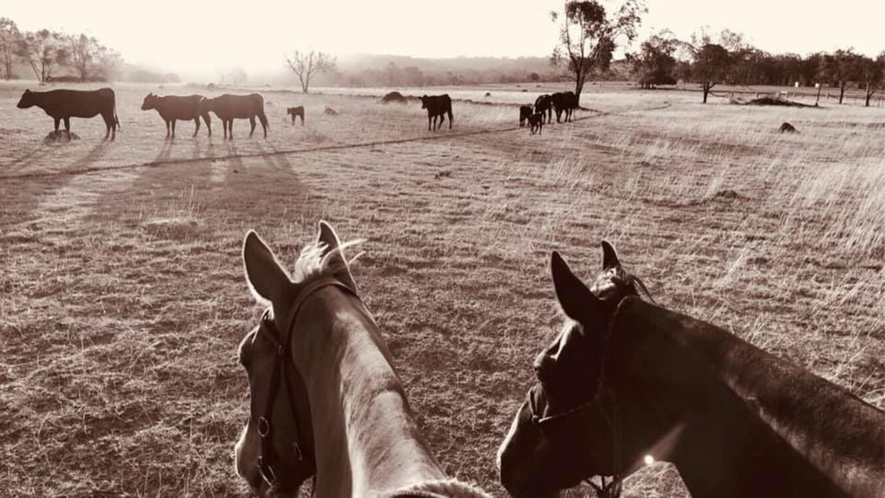 So dry out at Ellesmere. Photo taken by Natalee Young's daughter Zoey.