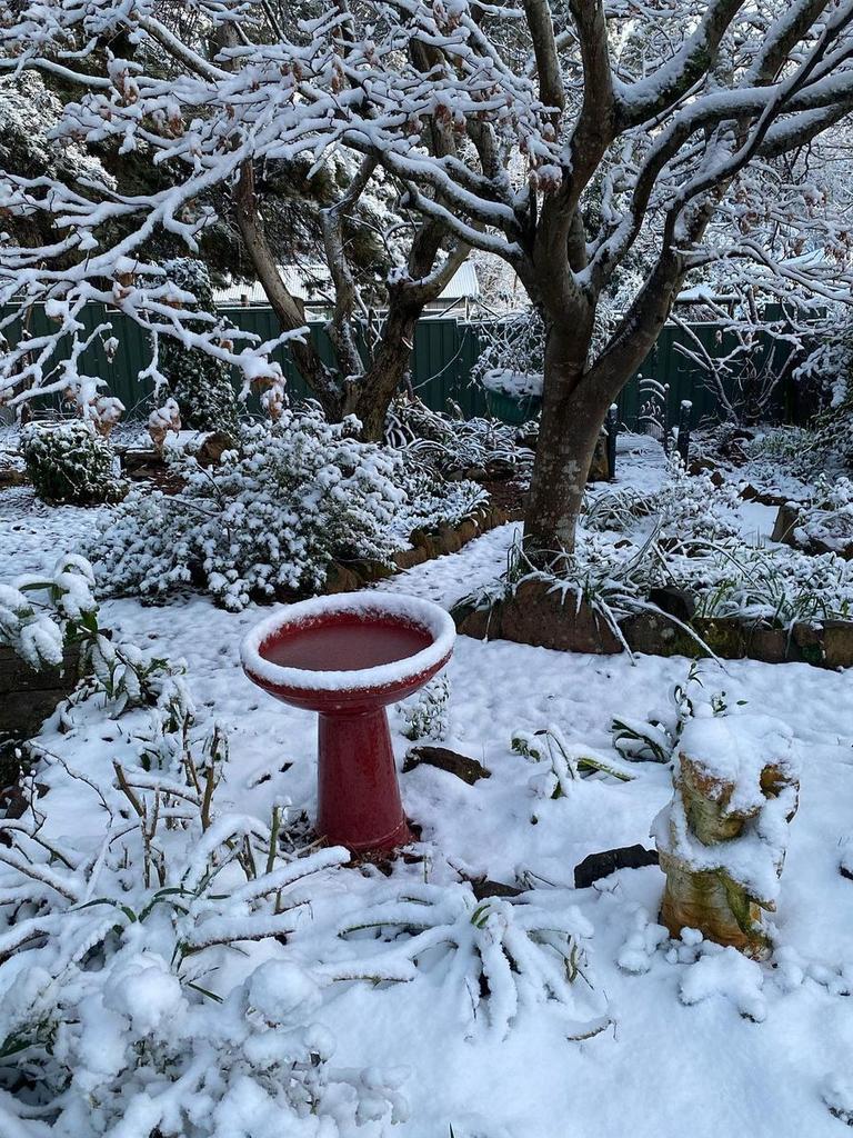 Snow in the backyard. Tiffany Dunk shared this picture.