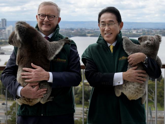 PERTH , AUSTRALIA - NewsWire Photos  OCTOBER 22  , 2022  Prime Minister Anthony Albanese  and Japanese PM Kishida Fumio meet koalas at Kings Park. Picture: NCA NewsWire / Sharon Smith