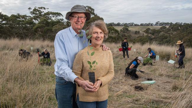 Thousands of trees will be planted on Ross and Elizabeth Wilkie’s property near Lethbridgre. Picture: Brad Fleet