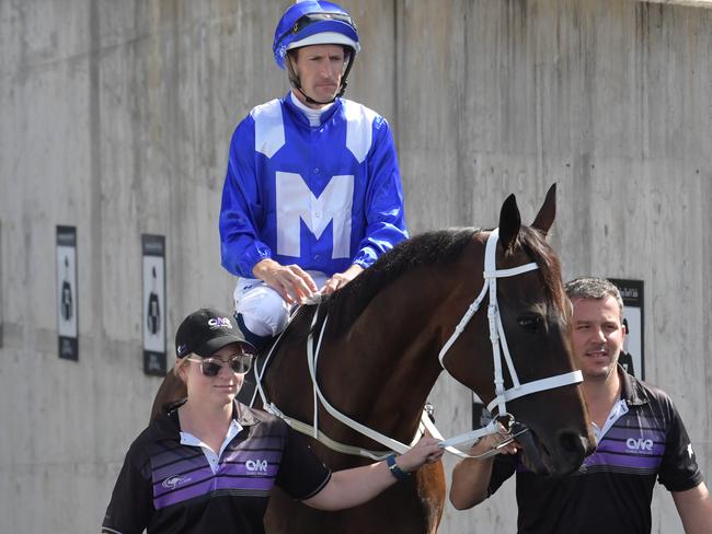 Hugh Bowman and Winx head out for her exhibition gallop.