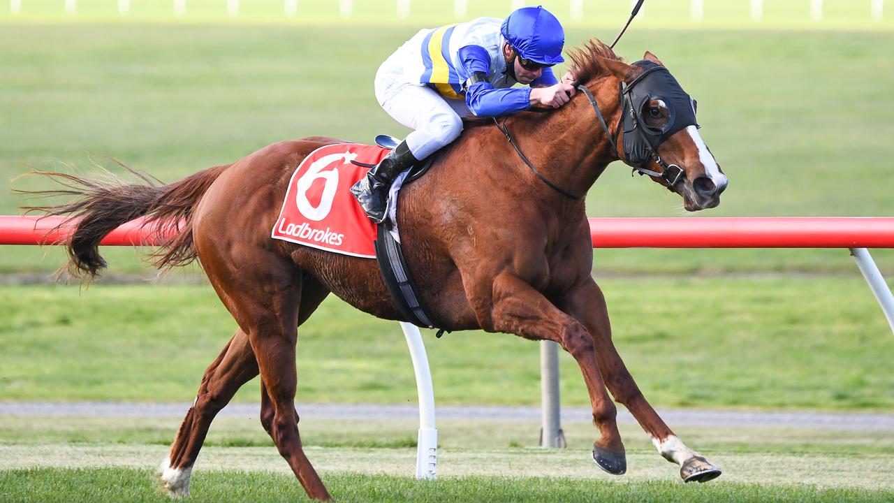 Veranskova ridden by Ben Melham wins the Celebrating Elvis (Ricky) Thurgood  at Ladbrokes Park Lakeside Racecourse on August 25, 2021 in Springvale, Australia. (Pat Scala/Racing Photos)