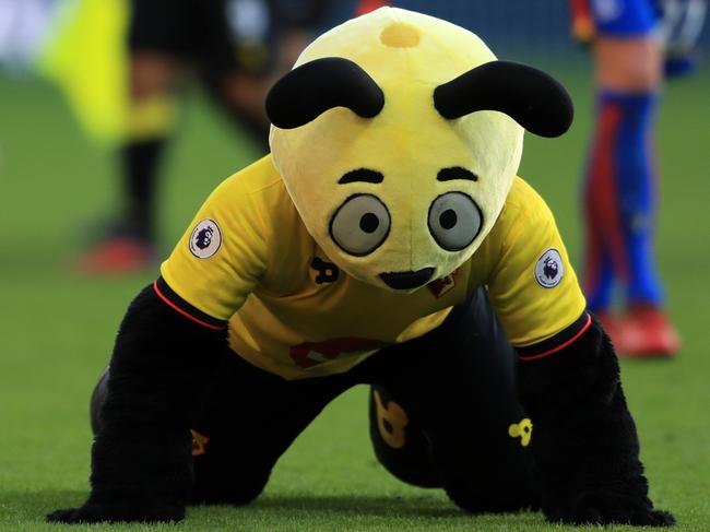 WATFORD, ENGLAND - DECEMBER 26: Watford mascot Harry the Hornet dives on the floor at the final whistle mocking Wilfred Zaha of Palace during the Premier League match between Watford and Crystal Palace at Vicarage Road on December 26, 2016 in Watford, England. (Photo by Richard Heathcote/Getty Images)