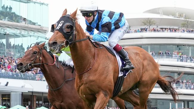 Smokin' Romans (NZ) ridden by Ben Melham wins the Queen Elizabeth Stakes at Flemington Racecourse on November 09, 2024 in Flemington, Australia. (Photo by George Sal/Racing Photos via Getty Images)