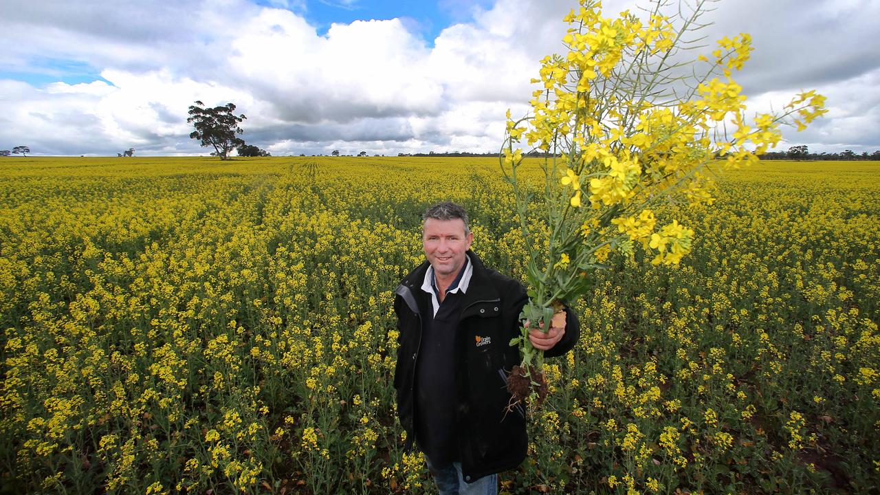 Victorian Farmers Federation Brett Hosking said dry conditions might prevent canola crops in Geelong this year. Picture Yuri Kouzmin