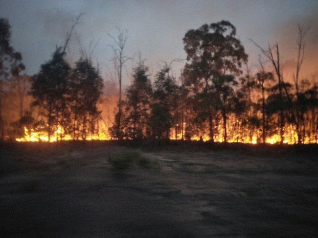 NAMED: Alleged Wieambilla arsonists front court