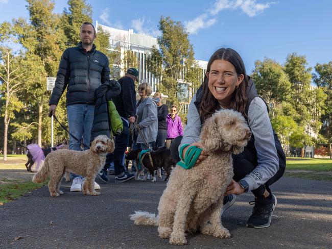 RSPCA SA's Million Paws Walk in Adelaide on May 25, 2025. Picture: Ben Clark