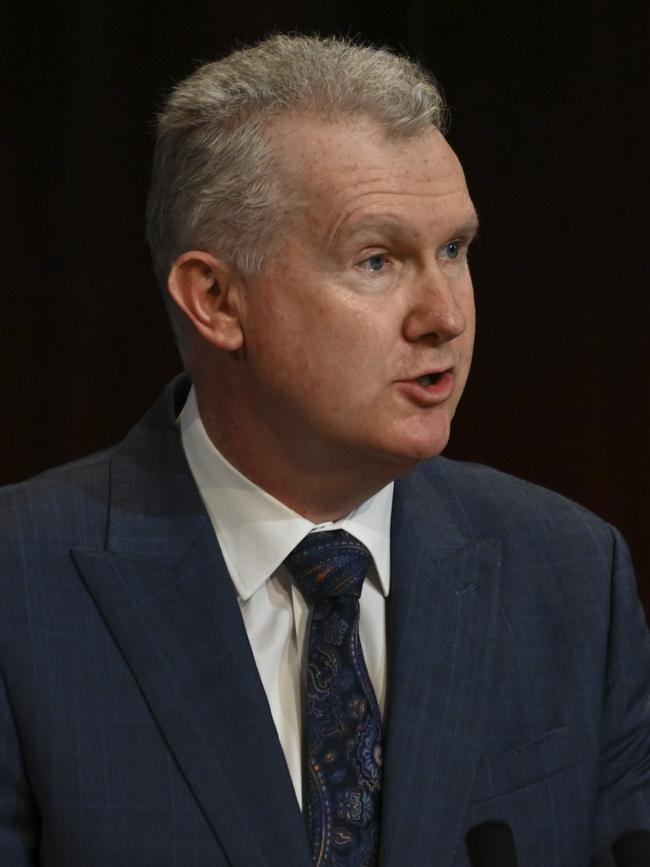 Workplace Relations Minister Tony Burke. Picture: Getty