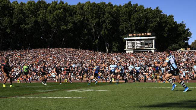 The iconic hill at Leichhardt Oval. Picture: AAP Image/Mark Evans