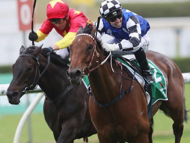 Big Duke wins on Everest Day at Royal Randwick. Picture: Getty Images