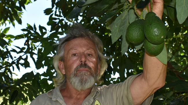 Alstonville farmer and conveyor of Save Alstonville Aquifer, Mike Hogan.