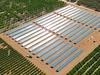 250 jobs as five solar farms built across SA