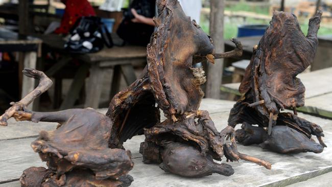 Dried bushmeat at a market in Lagos, Nigeria. Picture: AFP