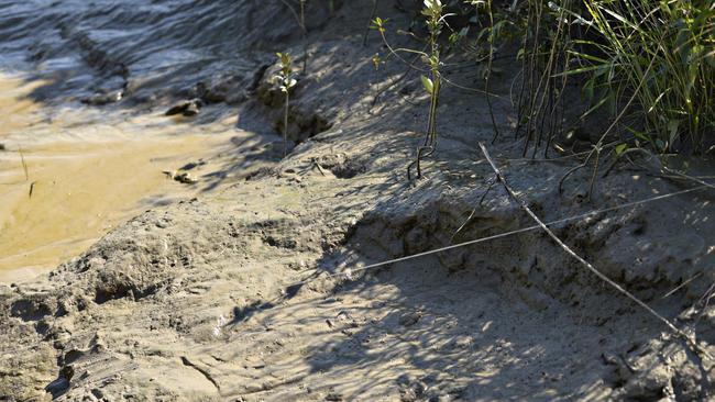 A snagged line leads into the water at the site of the fatal crocodile attack on the Adelaide River. Picture: Elise Derwin