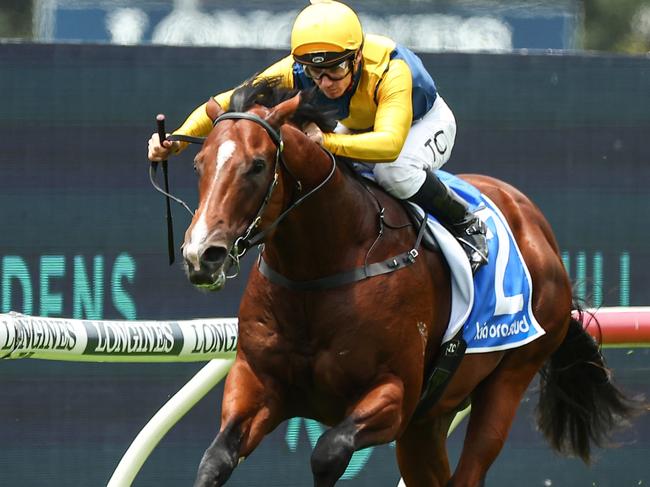 SYDNEY, AUSTRALIA - DECEMBER 02:  Tim Clark riding Storm Boy wins Race 1 KIA Ora Prague Handicap during Sydney Racing at Rosehill Gardens on December 02, 2023 in Sydney, Australia. (Photo by Jeremy Ng/Getty Images)