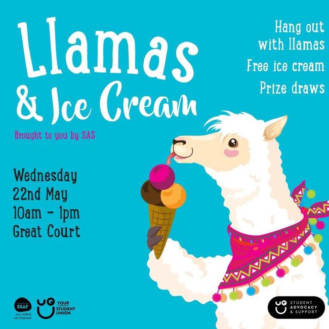 An ad for the llamas and ice cream event