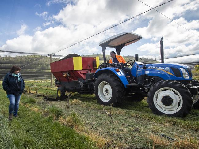 Huon Aquaculture's Frances Bender with cherry grower Nic Hansen. They have partnered up with Hansen Orchards taking Huon's salmon waste and transforming it into compost for their cherries. Picture: LUKE BOWDEN