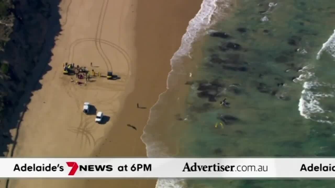 The Advertiser, 7NEWS Adelaide: Para Hills crash tragedy, Federal election eve