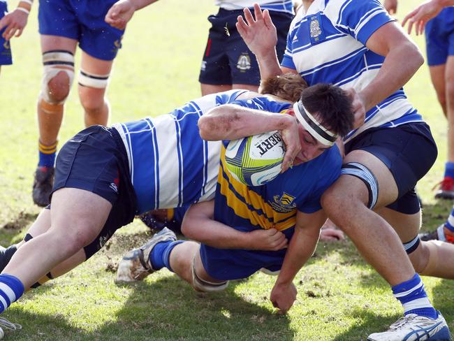 Action from the GPS first XV rugby match between Nudgee College and Toowoomba Grammar School. Photo:Tertius Pickard