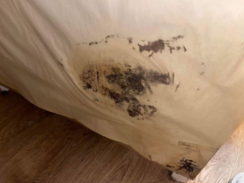 This is a patch of mould that was found in the master bedroom’s cupboards. Picture: Maddie Graham/Supplied