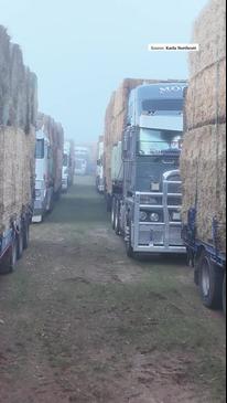 Need for Feed donating hay bales for farmers in need