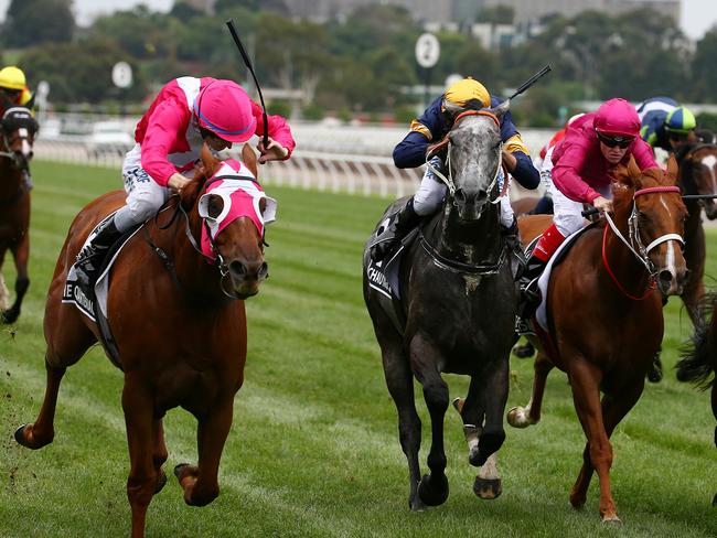 The Quarterback gets the better of his rivals to win the Group 1 Newmarket Handicap. Picture: George Salpigtidis
