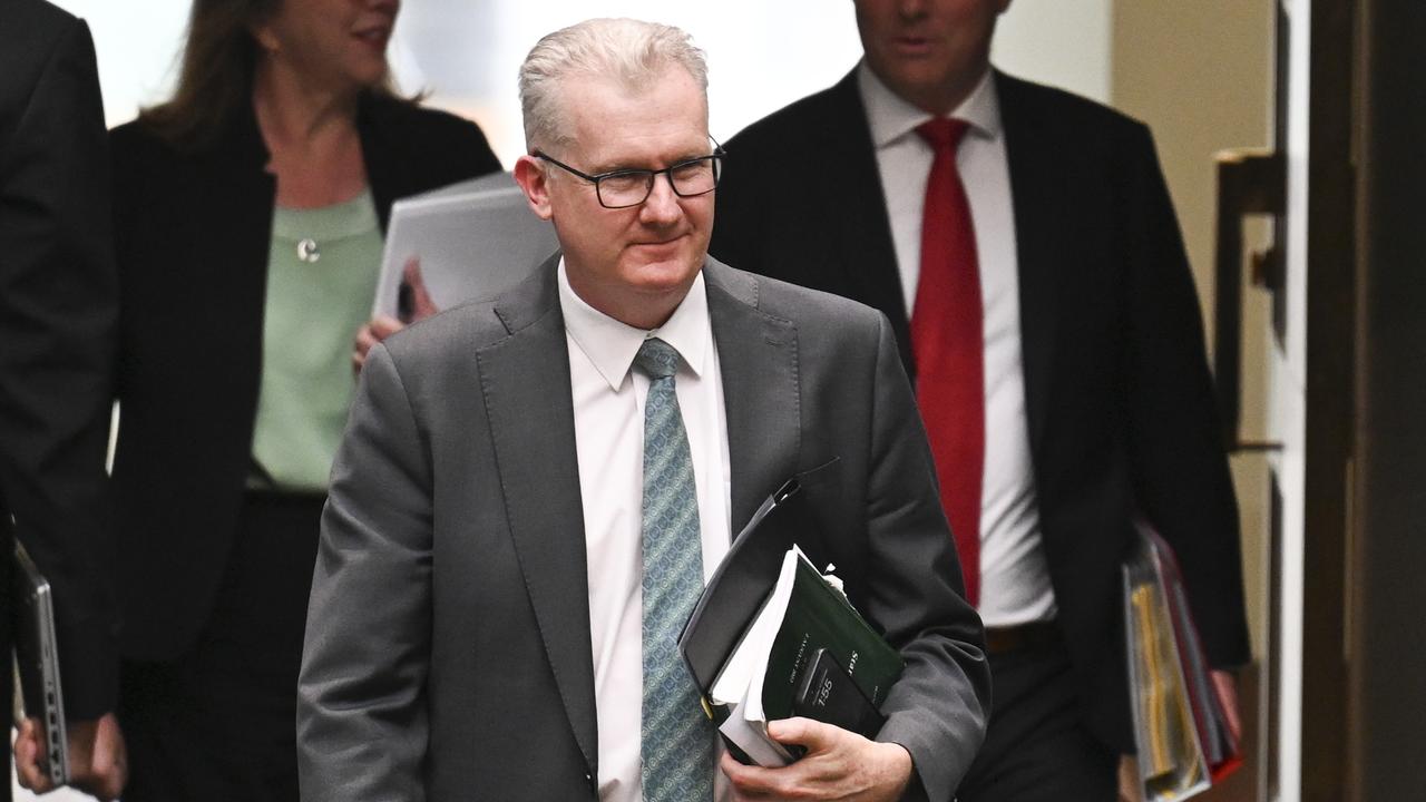 Home Affairs Minister Tony Burke knocked back Ms Owens’ visa. Picture: NewsWire / Martin Ollman