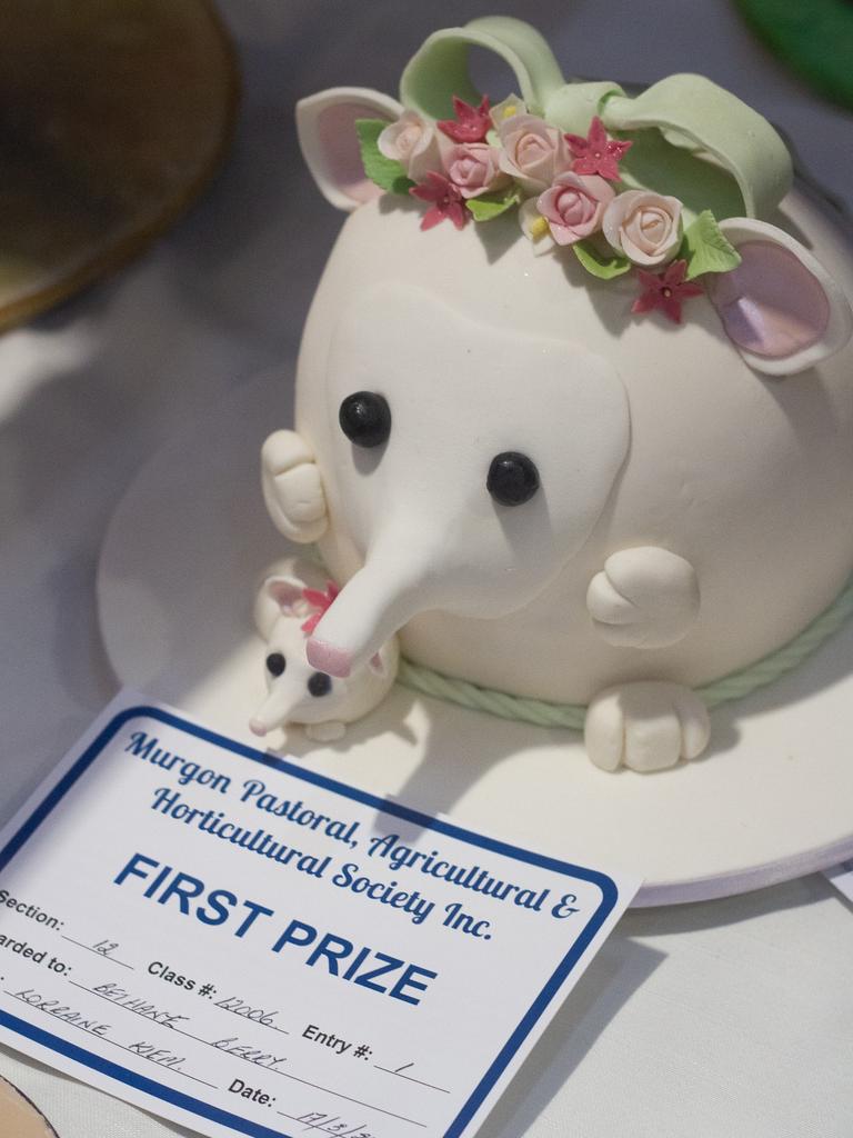 Bethany Berry takes out first prize for her cake at the 2023 Murgon Show.