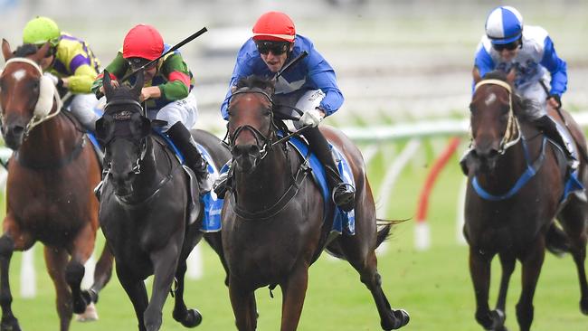 Invincible Al is Nathan Exelby’s best bet. Picture: AAP