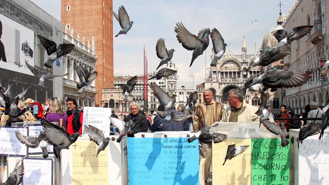 Plenty of tourists opt to touch and even hold the pigeons, posing for photos with the. Picture: Supplied