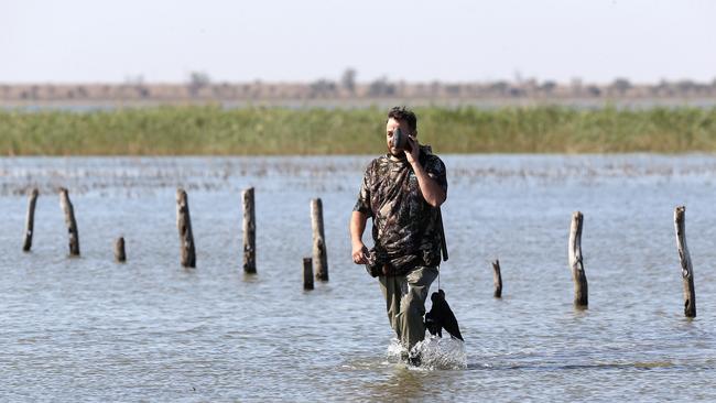 Hauling in the harvest: Hunter numbers are up, but restrictions meant the duck harvest has crashed. Picture: Yuri Kouzmin